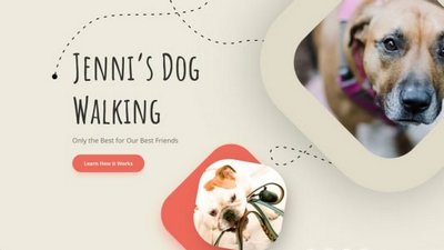 dog walker startup website design